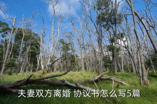  夫妻雙方離婚 協(xié)議書怎么寫5篇