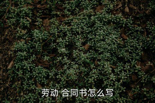 個(gè)體用工合同范本簡易,用工合同范本通用版