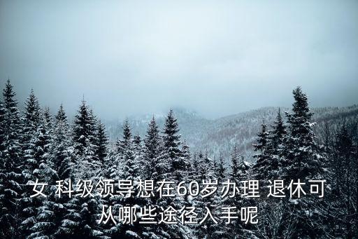 科級(jí)干部退休年齡,女性副科級(jí)干部退休年齡