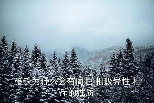  磁鐵為什么會(huì)有同性 相吸異性 相斥的性質(zhì)