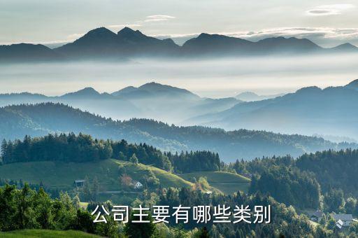 公司分類,有限責(zé)任公司分類