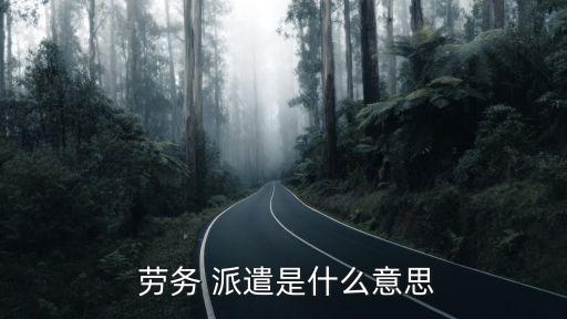 勞務(wù)派遣服務(wù)