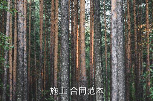 工程施工合同