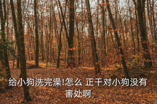 正干,正禾保潔家政服務公司電話