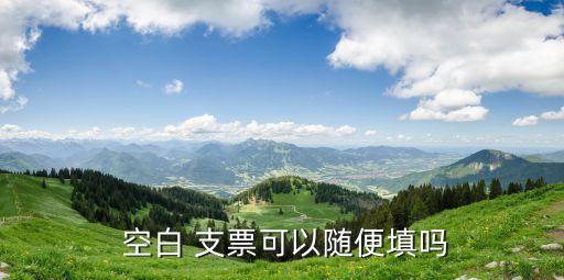 空白支票