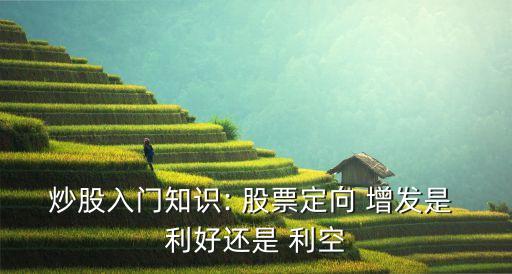 炒股入門(mén)知識(shí): 股票定向 增發(fā)是 利好還是 利空