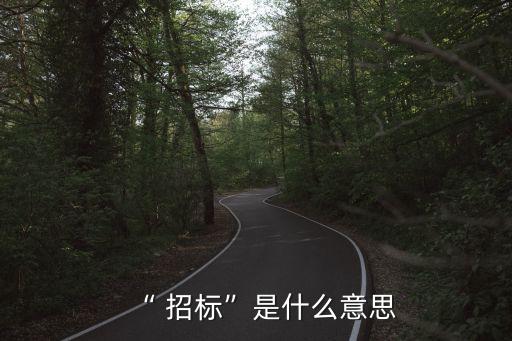 “ 招標”是什么意思