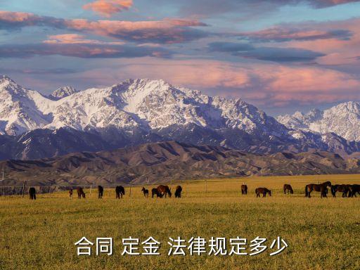 定金合同有什么法律效力,定金和訂金的法律效力