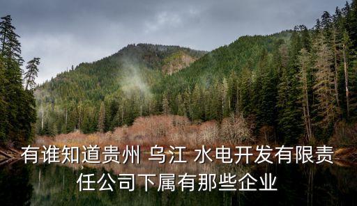 烏江水電,貴州烏江水電開發(fā)有限責(zé)任公司