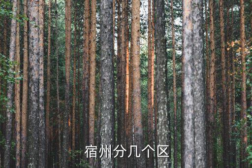 宿州是哪里,江蘇省宿州屬于哪個(gè)市