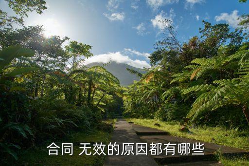 無效合同條款都無效嗎為什么,如何判斷無效合同和無效條款