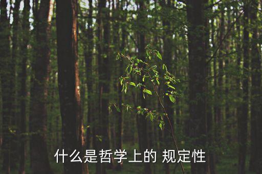 規(guī)定性