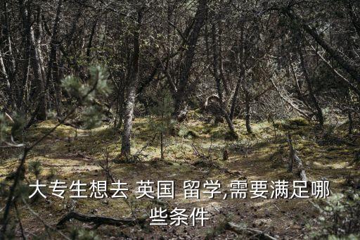 ?？朴?guó)留學(xué),?？瓶梢匀ビ?guó)留學(xué)嗎
