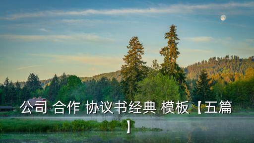 公司 合作 協(xié)議書經(jīng)典 模板【五篇】
