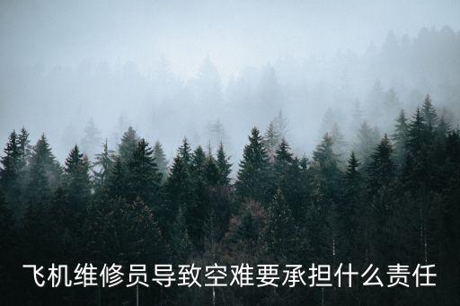 飛機維修員導致空難要承擔什么責任