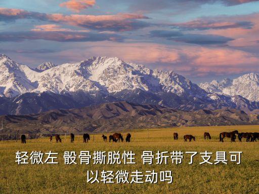 骰骨骨折