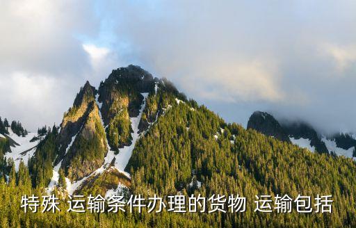 運(yùn)輸合同具備哪些法律特征,民用航空運(yùn)輸合同的法律特征包括