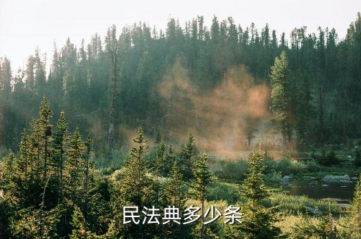 合同法65條對應(yīng)民法典多少條,民法典591條對應(yīng)合同法