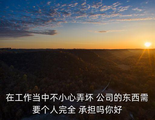 造成公司損失員工要全部承擔(dān)嗎,給公司造成10幾萬損失怎么辦