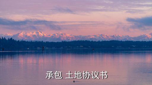 土地承包合同書樣本電子版,農(nóng)村個人土地承包合同書樣本