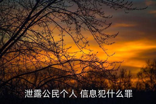  泄露公民個人 信息犯什么罪