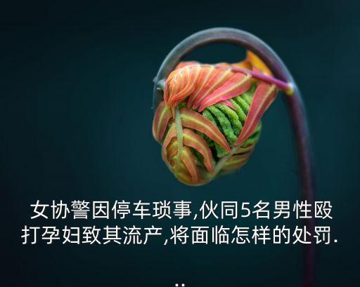 女協(xié)警