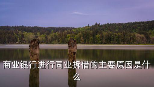 商業(yè)銀行進行同業(yè)拆借的主要原因是什么