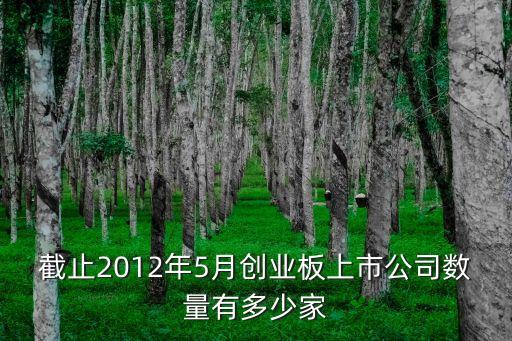 創(chuàng)業(yè)板公司，截止2012年5月創(chuàng)業(yè)板上市公司數(shù)量有多少家