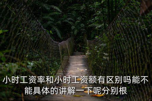 工資率，小時工資率和小時工資額有區(qū)別嗎能不能具體的講解一下呢分別根