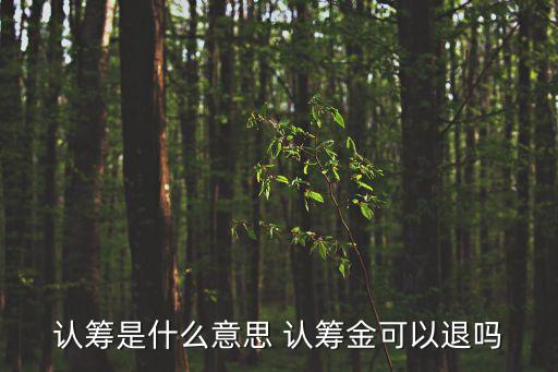 認籌金，我想買房子請問下認籌金是什么情況