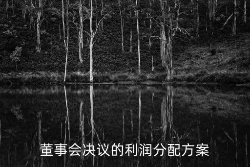 利潤分配決議，公司分紅的股東會(huì)決議要這么寫