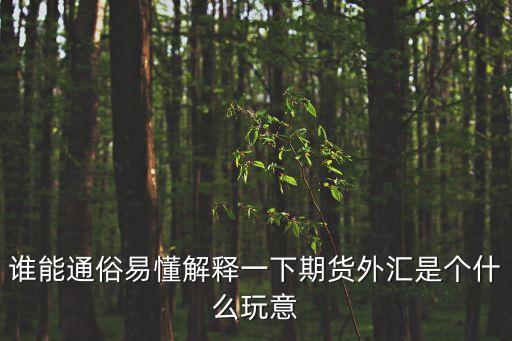 誰(shuí)能通俗易懂解釋一下期貨外匯是個(gè)什么玩意