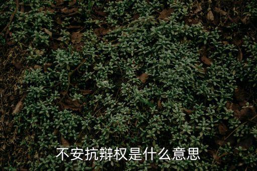 不安抗辯權是什么意思