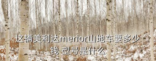 merior，自行車(chē)上WER10A是什么意思