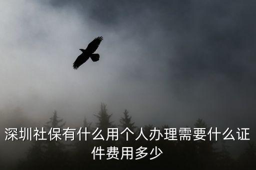 深圳市社會(huì)保險(xiǎn)，深圳市社保辦理流程