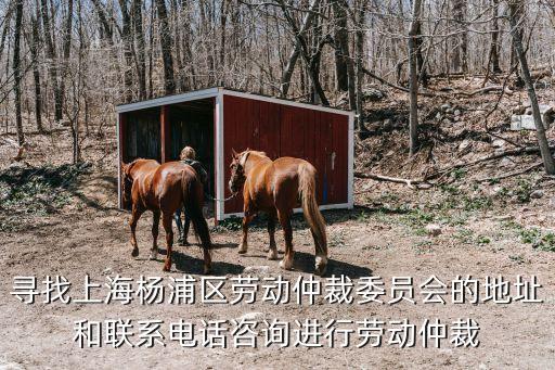 尋找上海楊浦區(qū)勞動(dòng)仲裁委員會(huì)的地址和聯(lián)系電話咨詢進(jìn)行勞動(dòng)仲裁