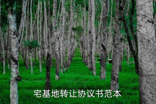 宅基地轉(zhuǎn)讓協(xié)議書范本，宅基地轉(zhuǎn)讓協(xié)議書范本