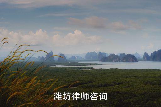 濰坊律師，山東濰坊律師認真負責的希望大家推薦一個