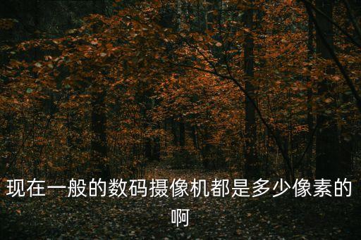 現(xiàn)在一般的數(shù)碼攝像機都是多少像素的啊