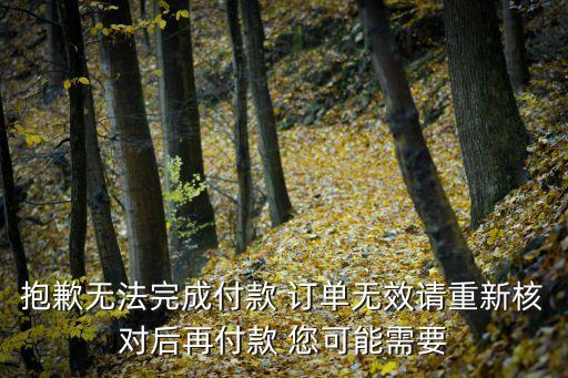 抱歉無法完成付款 訂單無效請重新核對后再付款 您可能需要