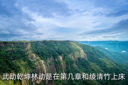 武動乾坤林動是在第幾章和綾清竹上床