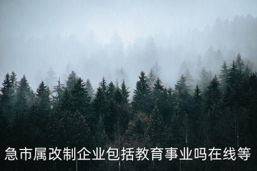 急市屬改制企業(yè)包括教育事業(yè)嗎在線等