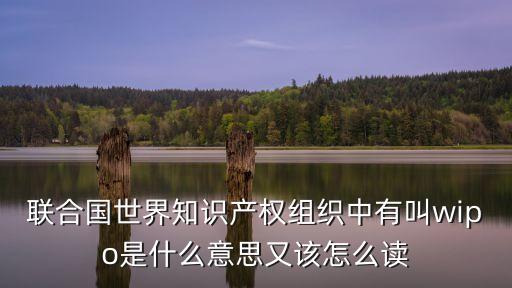 wipo，縮略詞WIPO的讀音怎么讀