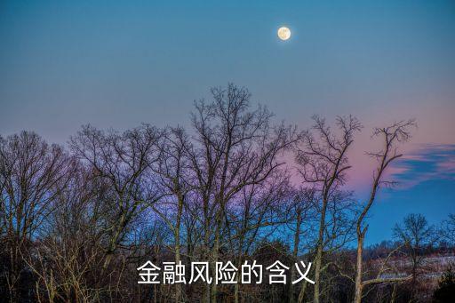 金融風(fēng)險(xiǎn)，金融風(fēng)險(xiǎn)是什么意思