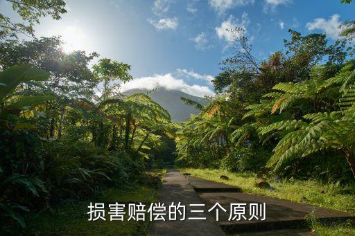損失補償原則，保險的損失補償原則主要包括哪些內(nèi)容
