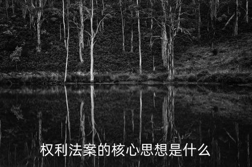 人權(quán)法案，權(quán)利法案的核心思想是什么