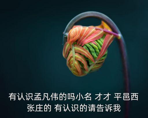 有認識孟凡偉的嗎小名 才才 平邑西張莊的 有認識的請告訴我