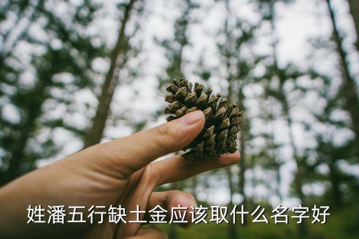 姓潘五行缺土金應該取什么名字好