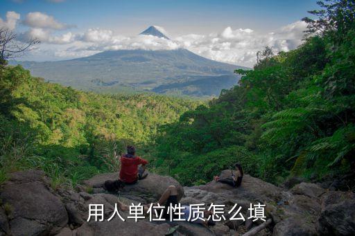 單位性質(zhì)怎么填，2020中國人民銀行招聘網(wǎng)申簡歷中單位性質(zhì)如何填寫