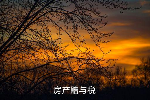 房產(chǎn)贈(zèng)與稅